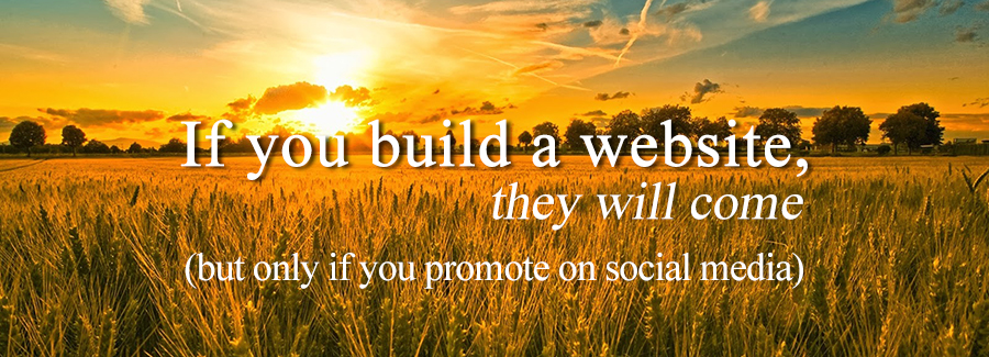 If You Build a Website They Will Come